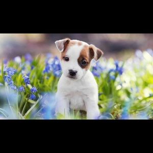 Meet your Posher, Nataly